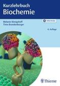 Königshoff / Brandenburger |  Kurzlehrbuch Biochemie | Buch |  Sack Fachmedien