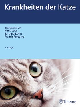 Lutz / Kohn / Forterre | Krankheiten der Katze | Buch | 978-3-13-241649-9 | sack.de
