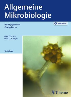 Fuchs | Allgemeine Mikrobiologie | Medienkombination | 978-3-13-241885-1 | sack.de