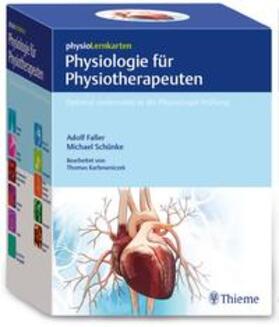 Schuenke / Faller | physioLernkarten - Physiologie für Physiotherapeuten | Sonstiges | 978-3-13-242050-2 | sack.de