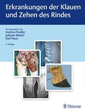 Fiedler / Maierl / Nuss | Erkrankungen der Klauen und Zehen des Rindes | Buch | 978-3-13-242289-6 | sack.de