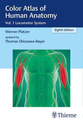 Platzer / Shiozawa-Bayer |  Color Atlas of Human Anatomy | Buch |  Sack Fachmedien