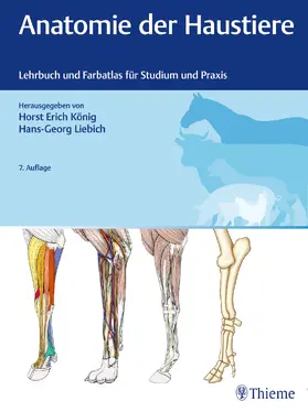 König / Liebich |  Anatomie der Haustiere | Buch |  Sack Fachmedien