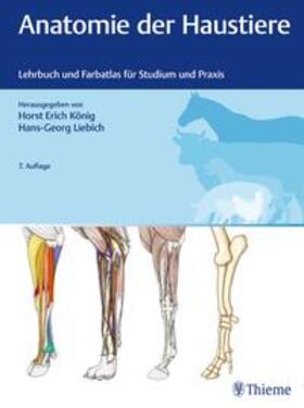 König / Liebich | Anatomie der Haustiere | Buch | 978-3-13-242509-5 | sack.de