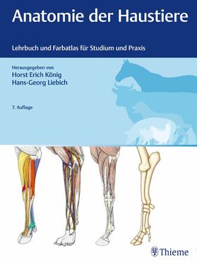 Liebich | Anatomie der Haustiere | E-Book | sack.de