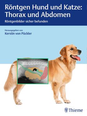 von Pückler | Röntgen Hund und Katze: Thorax und Abdomen | Buch | 978-3-13-242538-5 | sack.de