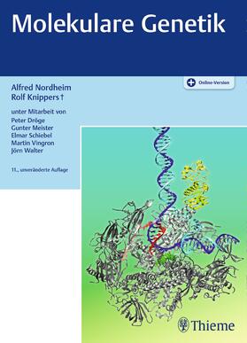 Nordheim / Knippers |  Molekulare Genetik | eBook | Sack Fachmedien