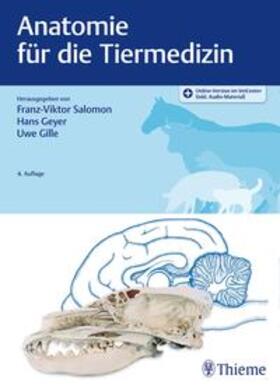 Salomon / Geyer / Gille | Anatomie für die Tiermedizin | Medienkombination | 978-3-13-242675-7 | sack.de