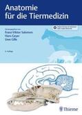 Salomon / Geyer / Gille |  Anatomie für die Tiermedizin | Buch |  Sack Fachmedien