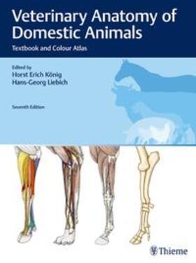 König / Liebich | Veterinary Anatomy of Domestic Animals | Buch | 978-3-13-242933-8 | sack.de