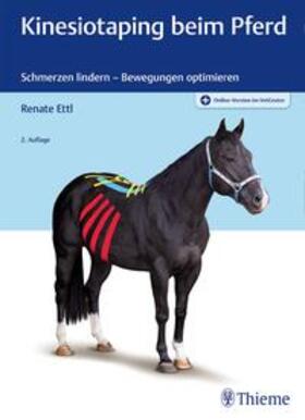 Ettl | Kinesiotaping beim Pferd | Medienkombination | 978-3-13-243117-1 | sack.de