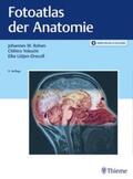 Rohen / Yokochi / Lütjen-Drecoll |  Fotoatlas der Anatomie | eBook | Sack Fachmedien