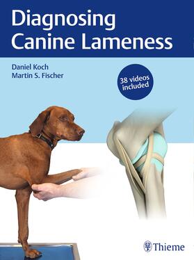 Koch / Fischer | Diagnosing Canine Lameness | Buch | 978-3-13-243283-3 | sack.de