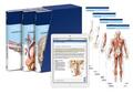 Schünke / Schulte / Schumacher |  PROMETHEUS LernPaket Anatomie | Buch |  Sack Fachmedien