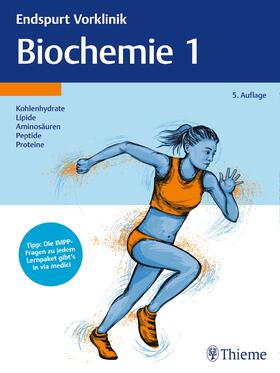 Endspurt Vorklinik: Biochemie 1 | Buch | 978-3-13-243367-0 | sack.de