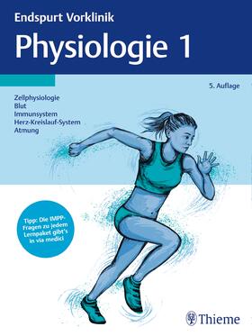 Endspurt Vorklinik: Physiologie 1 | Buch | 978-3-13-243388-5 | sack.de