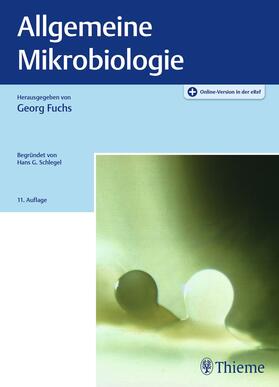 Fuchs / Bramkamp / Dersch |  Allgemeine Mikrobiologie | Buch |  Sack Fachmedien