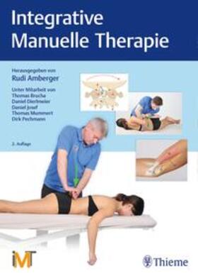 Amberger | Integrative Manuelle Therapie | Buch | 978-3-13-243906-1 | sack.de