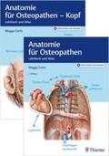 Corts |  Set Anatomie für Osteopathen | Buch |  Sack Fachmedien