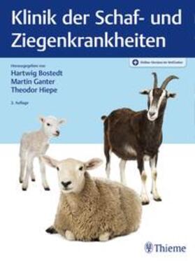 Bostedt / Ganter / Hiepe | Klinik der Schaf- und Ziegenkrankheiten | Medienkombination | 978-3-13-244401-0 | sack.de