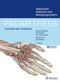 Schünke / Schulte / Schumacher |  PROMETHEUS Allgemeine Anatomie und Bewegungssystem | Buch |  Sack Fachmedien