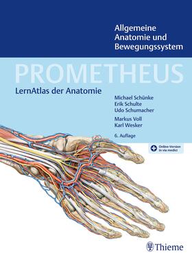Schünke / Schulte / Schumacher | PROMETHEUS Allgemeine Anatomie und Bewegungssystem | E-Book | sack.de