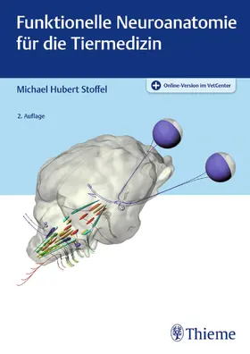 Stoffel |  Funktionelle Neuroanatomie für die Tiermedizin | eBook | Sack Fachmedien