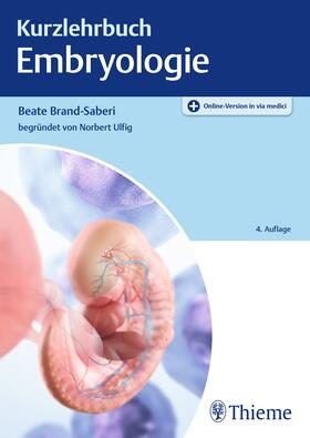 Brand-Saberi | Kurzlehrbuch Embryologie | Medienkombination | sack.de