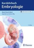 Brand-Saberi |  Kurzlehrbuch Embryologie | Buch |  Sack Fachmedien