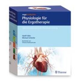 Schünke / Faller |  ergoLernkarten - Physiologie für die Ergotherapie | Sonstiges |  Sack Fachmedien