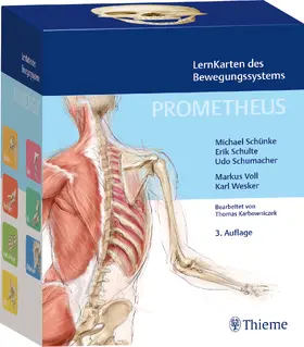 Schünke / Schulte / Schumacher | PROMETHEUS LernKarten des Bewegungssystems | Buch | 978-3-13-245785-0 | sack.de