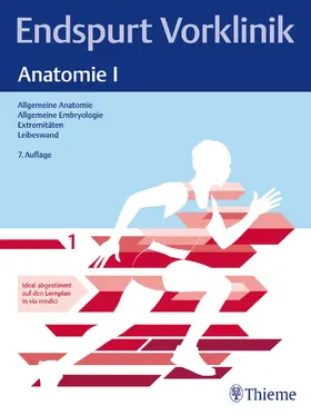 Endspurt Vorklinik: Anatomie I | Buch | 978-3-13-245887-1 | sack.de
