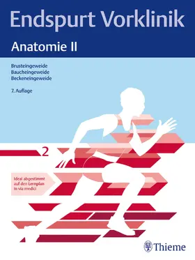 Endspurt Vorklinik: Anatomie II | Buch | 978-3-13-245890-1 | sack.de