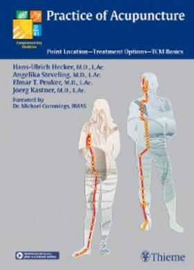Hecker / Steveling / Peuker | Practice of Acupuncture | E-Book | sack.de
