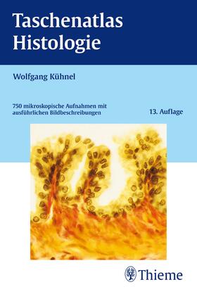 Kühnel | Taschenatlas Histologie | Buch | 978-3-13-348613-2 | sack.de