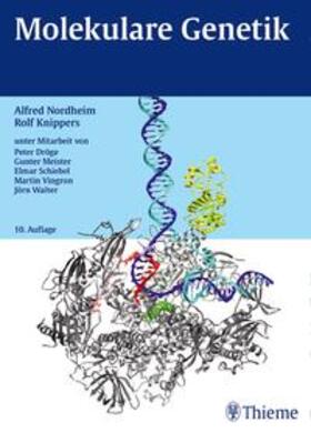 Nordheim / Knippers | Molekulare Genetik | Buch | 978-3-13-477010-0 | sack.de