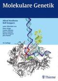 Nordheim / Knippers |  Molekulare Genetik | Buch |  Sack Fachmedien