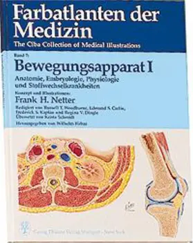 Netter / Firbas | Bewegungsapparat I | Buch | 978-3-13-524601-7 | sack.de