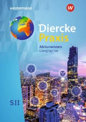 Bremm / Brinkmann-Brock / Elvenich |  Diercke Praxis SII - Arbeits- und Lernbuch - Ausgabe 2020 | eBook | Sack Fachmedien