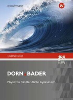 Schlatow / Salm / Schmidt | Dorn Bader Physik - Ausgabe 2021 für Berufliche Gymnasien | Buch | 978-3-14-225482-1 | sack.de