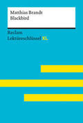 Brandt / Scholz |  Blackbird von Matthias Brandt: Lektüreschlüssel mit Inhaltsangabe, Interpretation, Prüfungsaufgaben mit Lösungen, Lernglossar. (Reclam Lektüreschlüssel XL) | Buch |  Sack Fachmedien