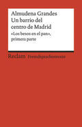 Grandes / Amann |  Un barrio del centro de Madrid | Buch |  Sack Fachmedien
