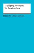 Koeppen / Pütz |  Lektüreschlüssel. Wolfgang Koeppen: Tauben im Gras | eBook | Sack Fachmedien