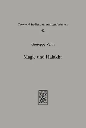 Veltri |  Magie und Halakha | Buch |  Sack Fachmedien