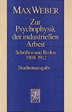 Schluchter / Weber / Frommer | Zur Psychophysik der industriellen Arbeit | Buch | 978-3-16-146891-9 | sack.de