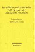 Grundmann |  Systembildung und Systemlücken in Kerngebieten des Europäischen Privatrechts | Buch |  Sack Fachmedien
