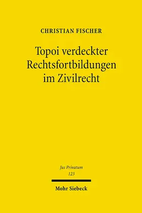 Fischer |  Topoi verdeckter Rechtsfortbildungen im Zivilrecht | Buch |  Sack Fachmedien