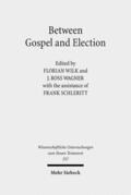 Wilk / Schleritt / Wagner |  Between Gospel and Election | Buch |  Sack Fachmedien