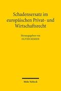 Remien |  Schadensersatz im europäischen Privat- und Wirtschaftsrecht | Buch |  Sack Fachmedien