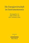 Gundel / Lange |  Die Energiewirtschaft im Instrumentenmix | Buch |  Sack Fachmedien